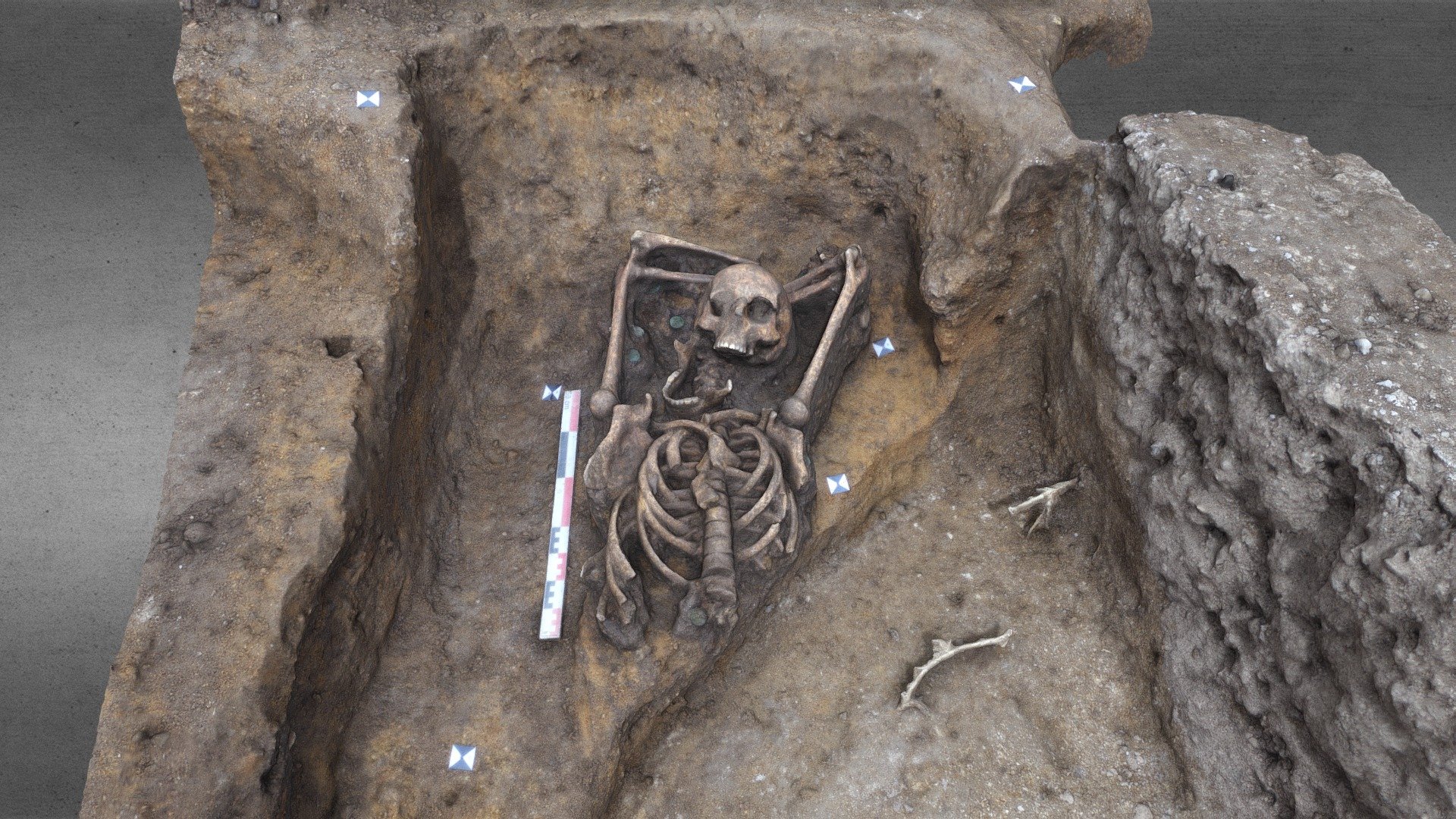 Inhumation gallo-romaine (F9542) — Sketchfab embed 3D viewer