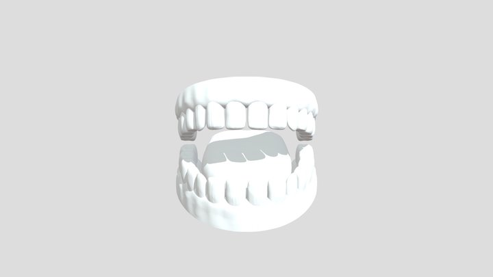teeth 3D Model