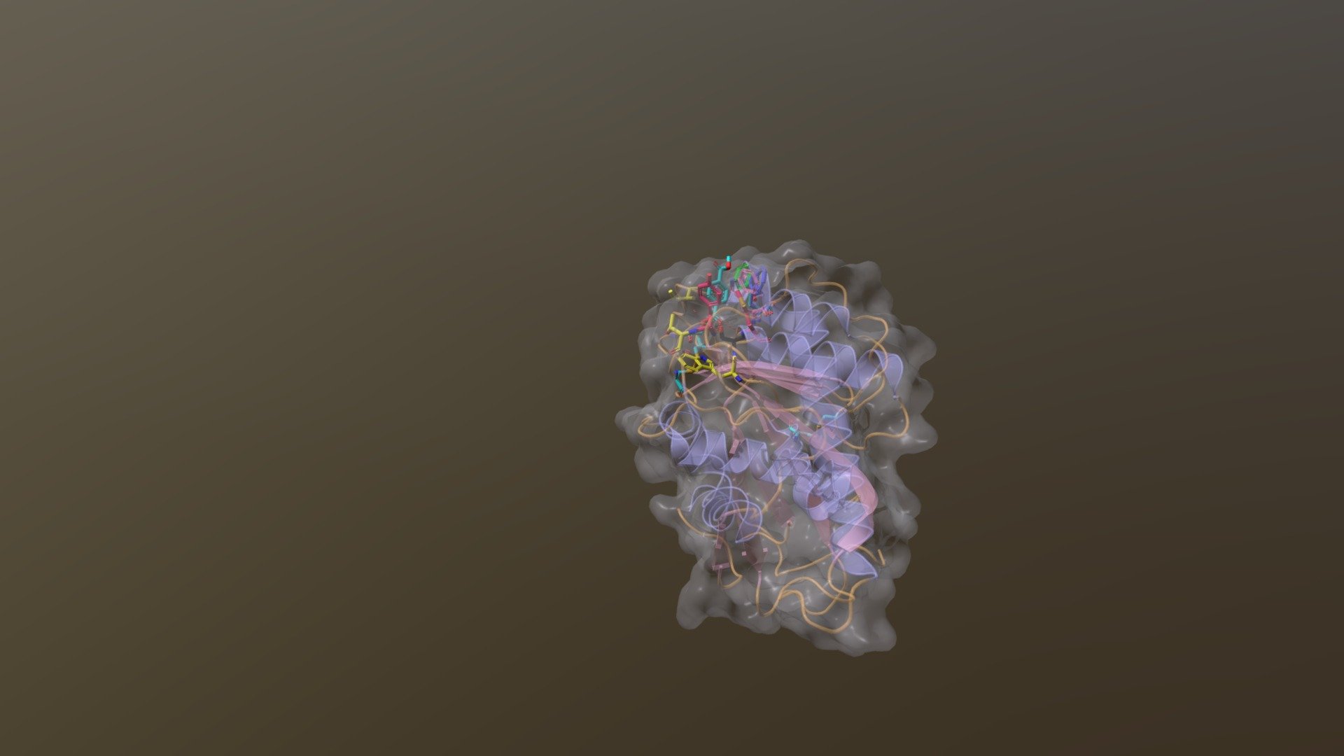 PETase Model - Wild Type - 3D model by Christopher_Adam [d998ba5 ...