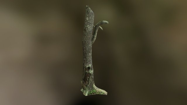 Tree_03 3D Model