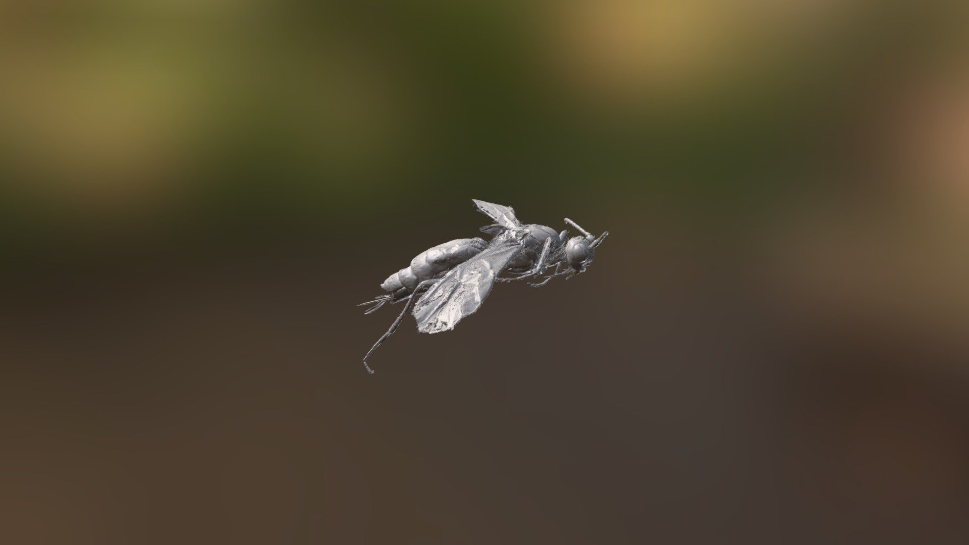 Hormius Moniliatus - 3D model by mikaeel.ps [d99fd0d] - Sketchfab