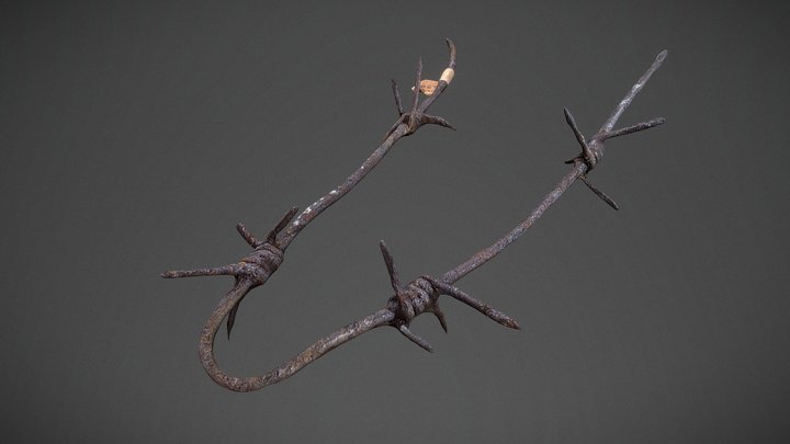 Kolyma, Butugyčag - Ostnatý drát / Barbed wire 3D Model