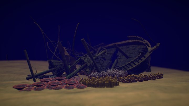 Shipwreck 3D Model