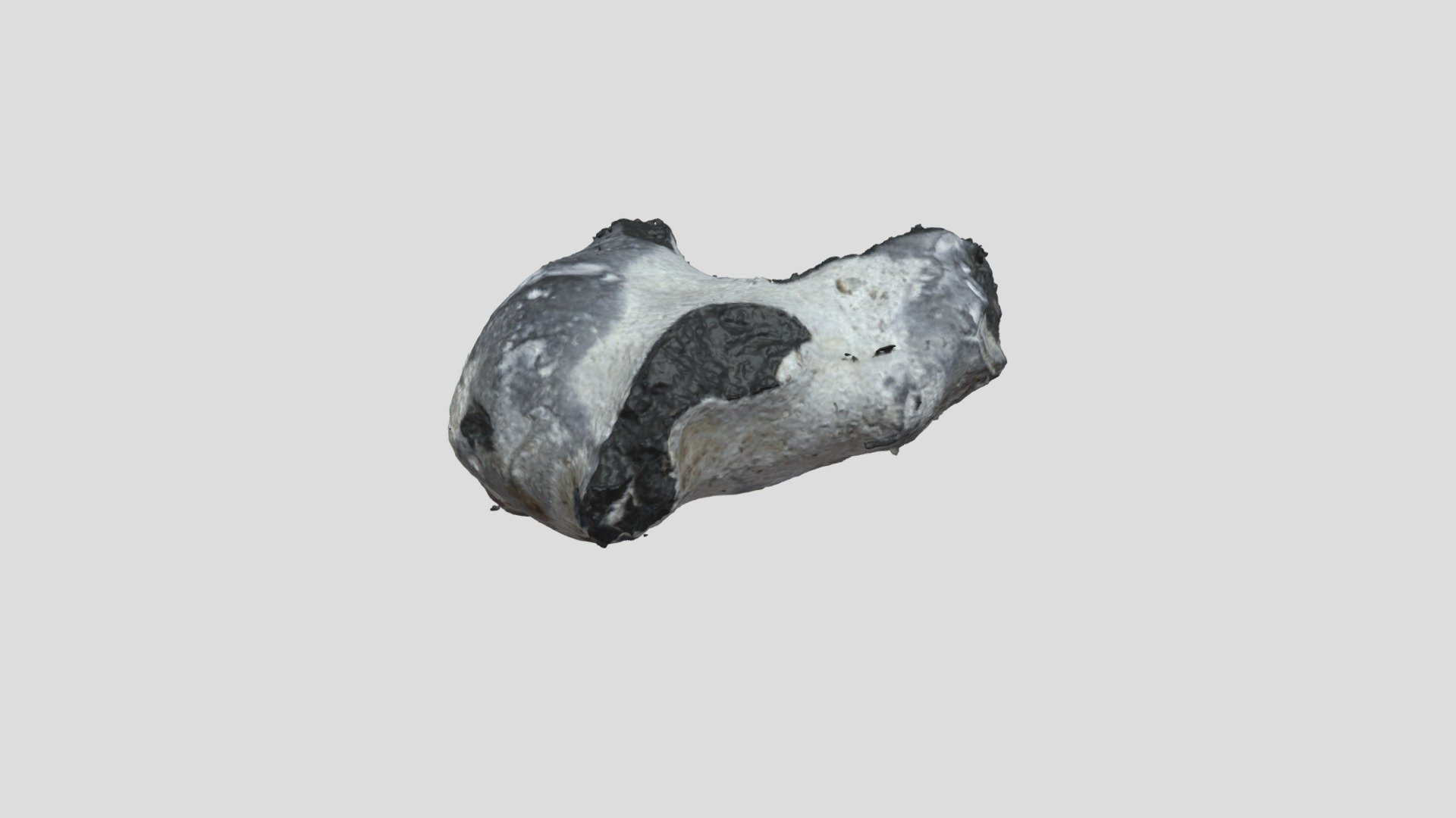 Geofact scan 001