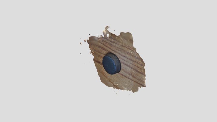 Photogram 3D Model