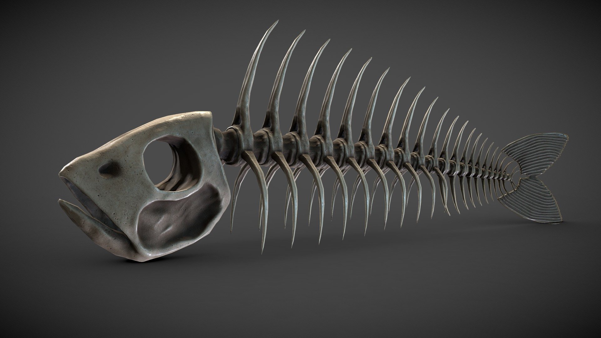 Fish Skeleton - Download Free 3D model by Shedmon (@shedmon) [d9b1388]