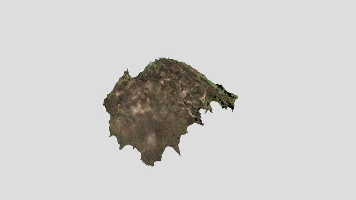 鬼丸城　畝状空堀群 3D Model