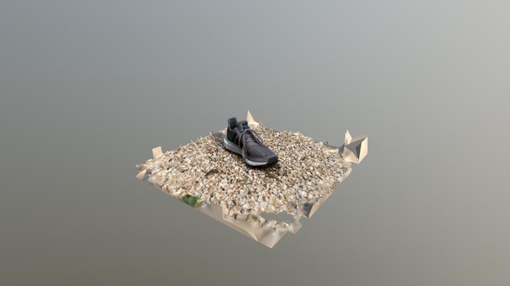 Shoe 3D Model
