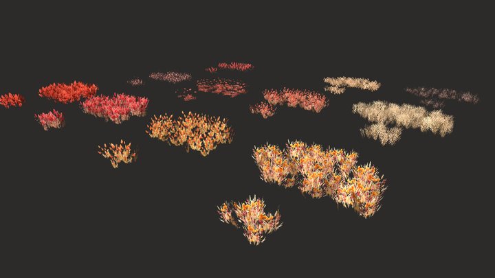 Ground Foliage Variations 3D Model