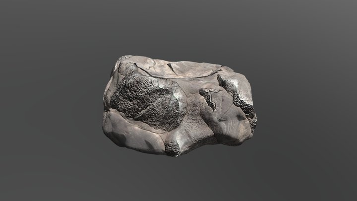Rock test 3D Model