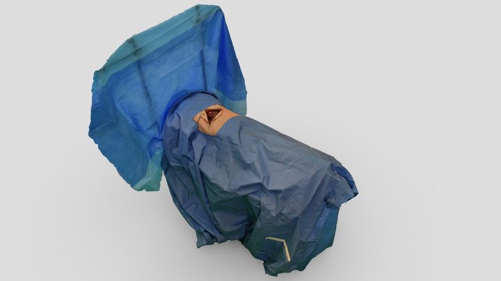 Body dummy prepped for surgical training 3D Model
