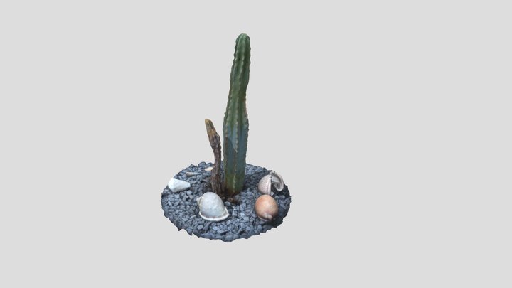 Kaktus 3D Model