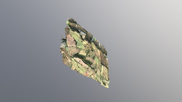 Photogrammetry 3D Model (1) 3D Model