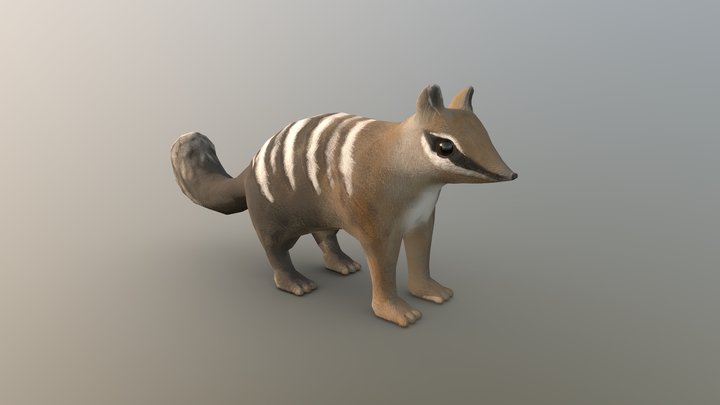 Numbat KNB217 3D Model