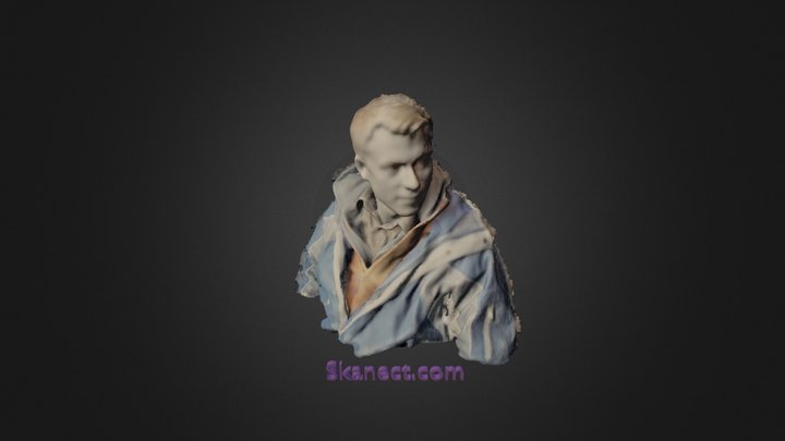 taylor 3D Model