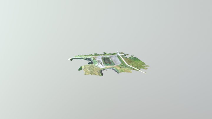 Bayshore Ash Pond 7 18 Simplified 3d Mesh 3D Model