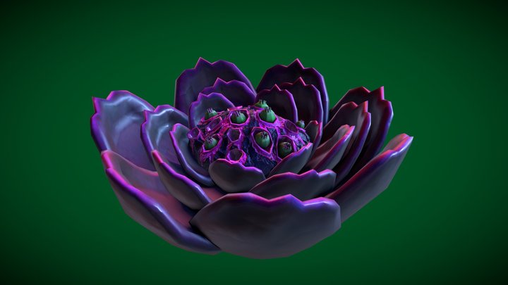 Stylized Slimecoal Succulent Flower 3D Model