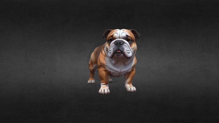 Dog (British Bulldog)