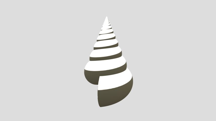 SEASHELL(high poly) 3D Model