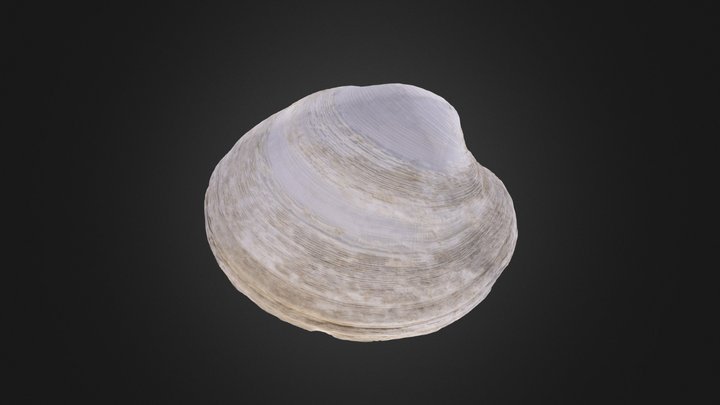 Climate Bivalve – Modello 3D gratuito STL