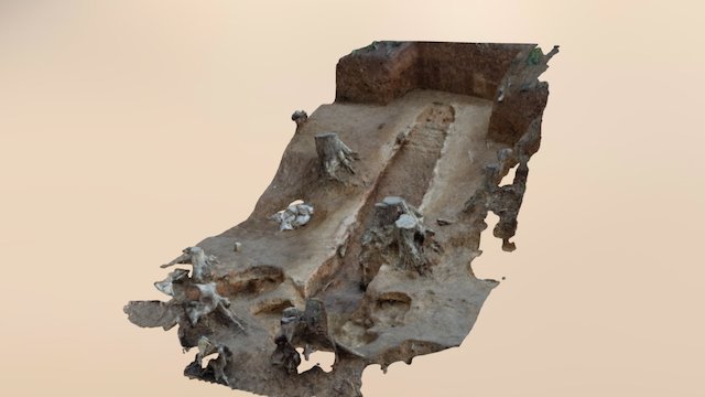 壇山古窯後群_SQ5 3D Model