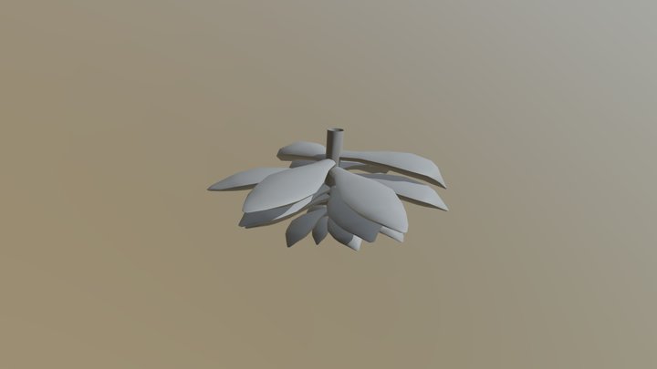Succulent 3D Model