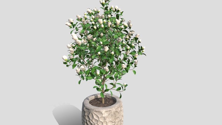 GL02 3D Model