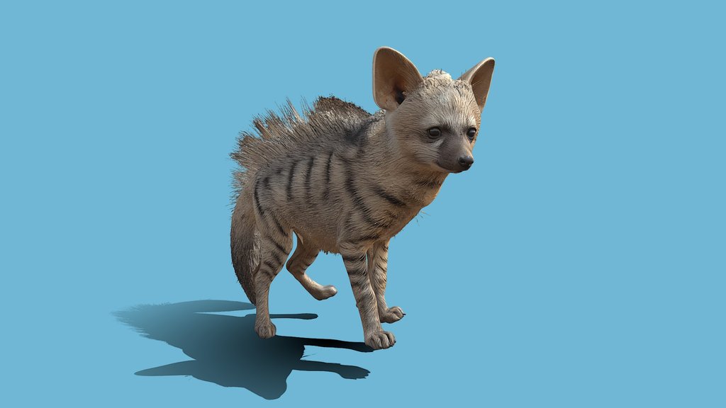 Aardwolf