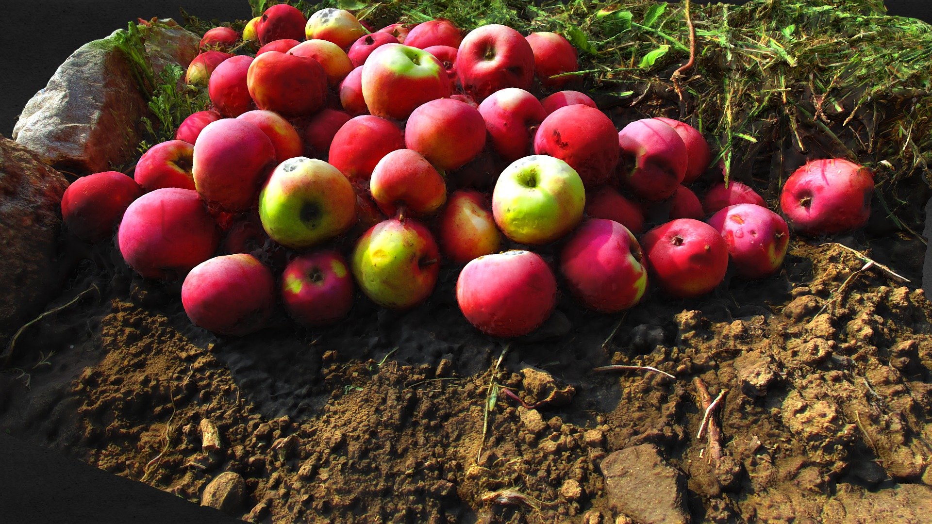 Apples