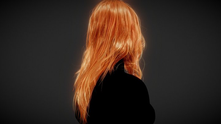 Hair model Female long 3D Model