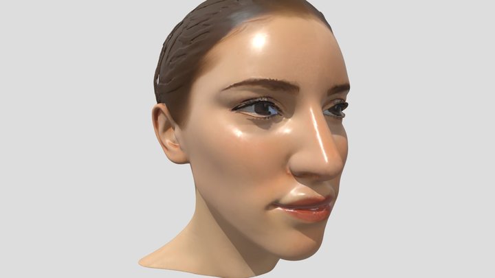 Adult Female Face 3D Model 3D Model