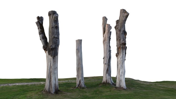 Group of Trees, Elm 3D Model