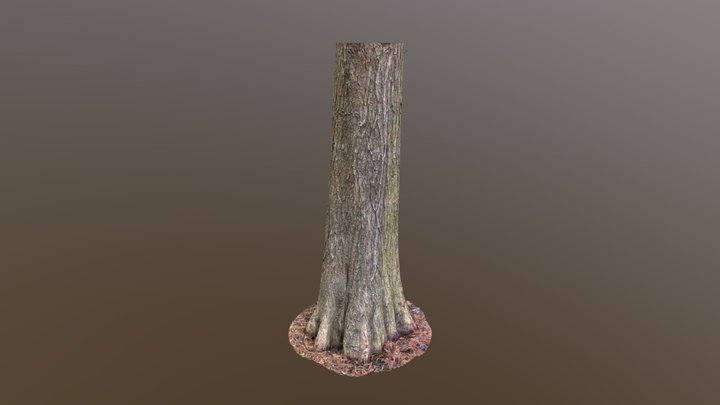 Bald Cypress Mossy A – Free 3D Model STL