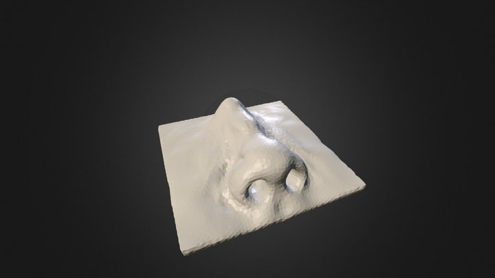 Nose 3D Model
