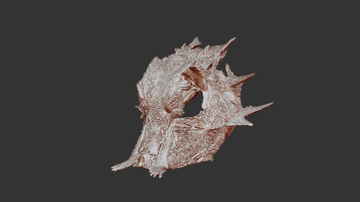 A1095 Prionotus birostratus 3D Model