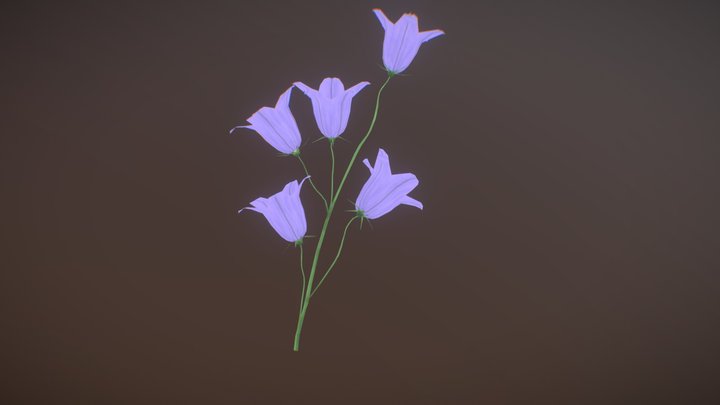 Harebell [Campanula rotundifolia] 3D Model