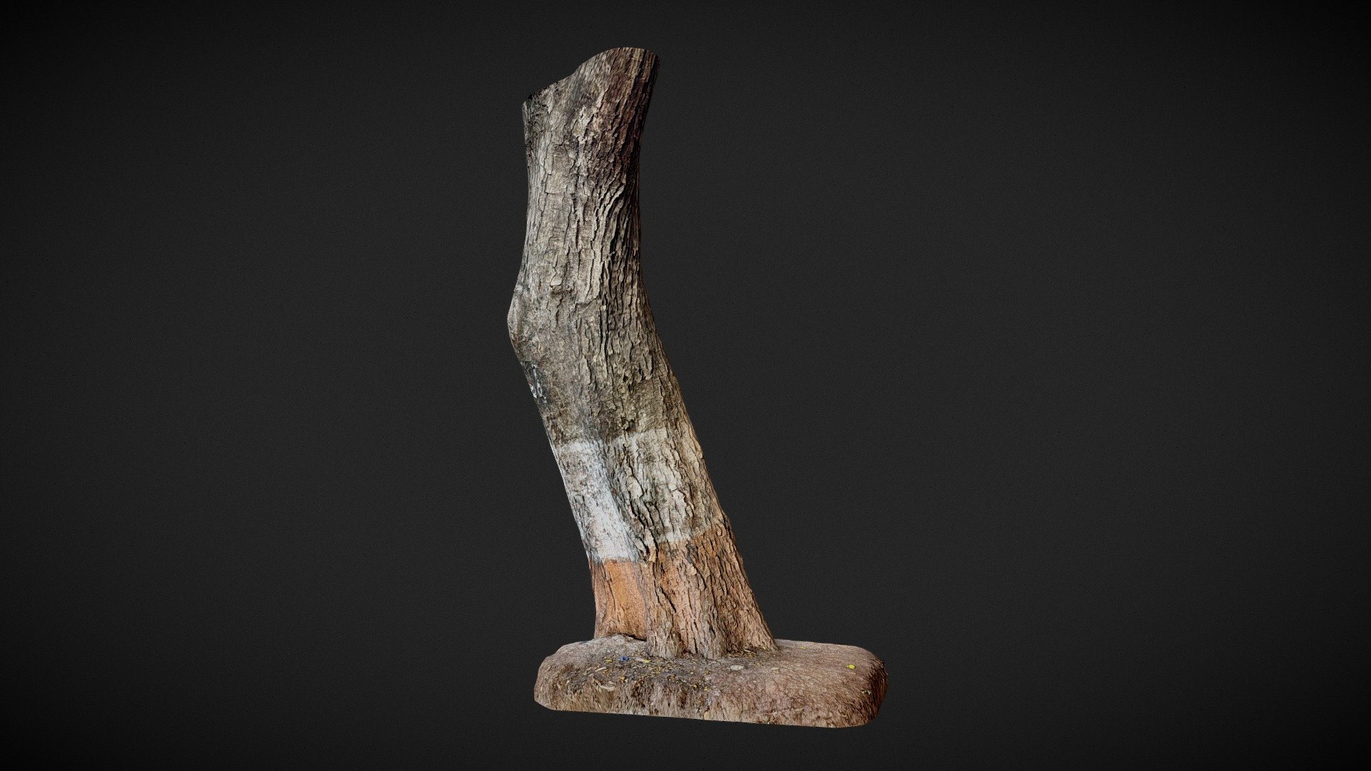 Tree Trunk - Download Free 3D model by raobott [d9e3967] - Sketchfab