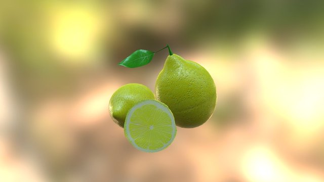 Limon 3D Model