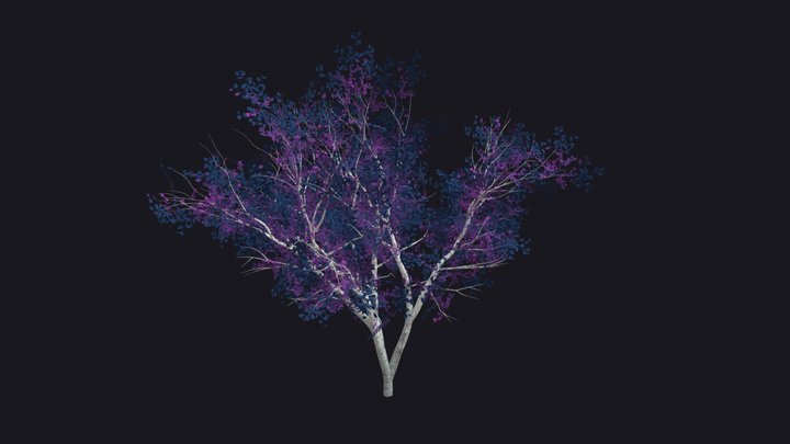 Purple-leaved Tree 3D Model