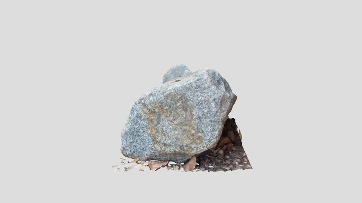 Rock 3D Model