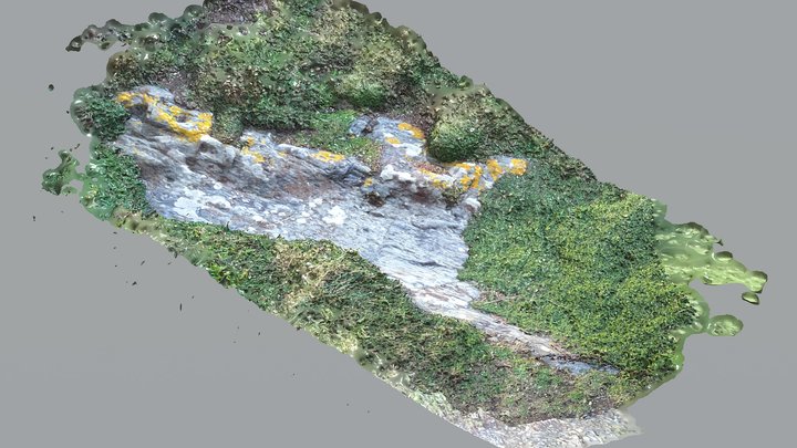 Caja de camino en la roca. Castro de Cabo Blanco 3D Model