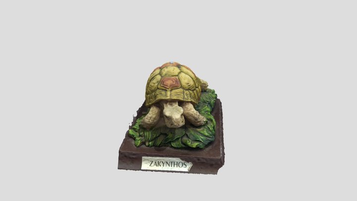 Caretta-Caretta Zante 3D Model