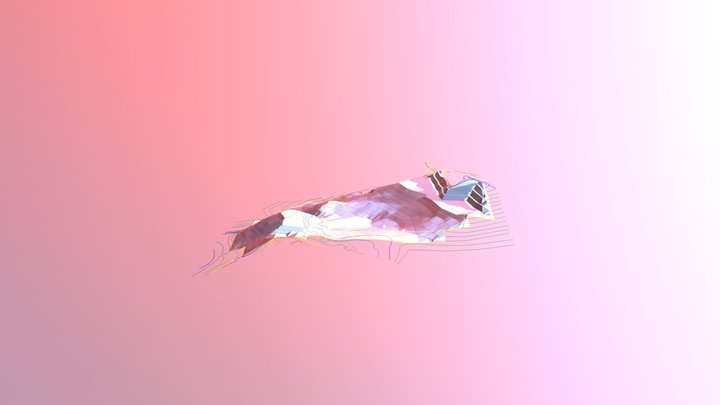 Topo Rata Jalan Sf 3D Model