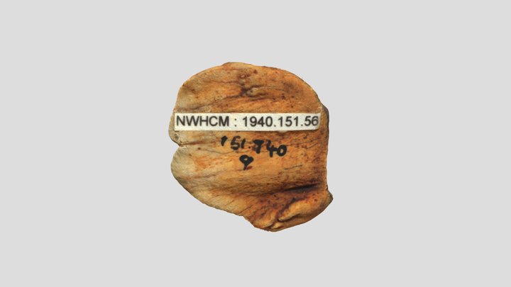 NWHCM_151.940.56 3D Model