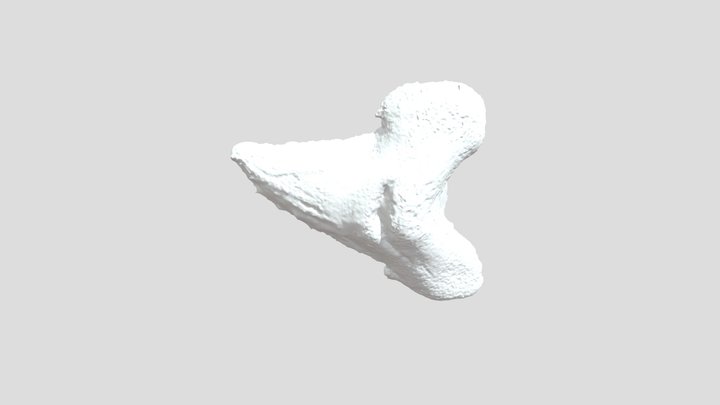 Otodus obliquus 3D Model
