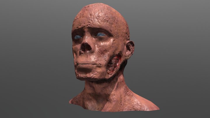 Fallout Ghoul Bust Concept 3D Model