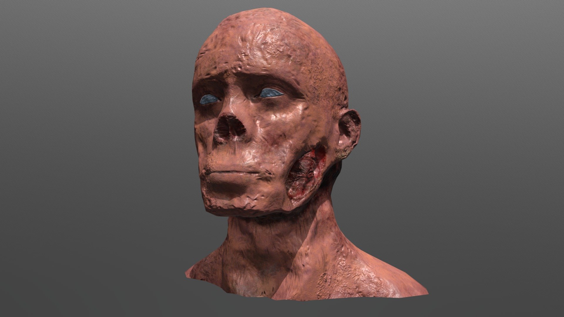 Fallout Ghoul Bust Concept