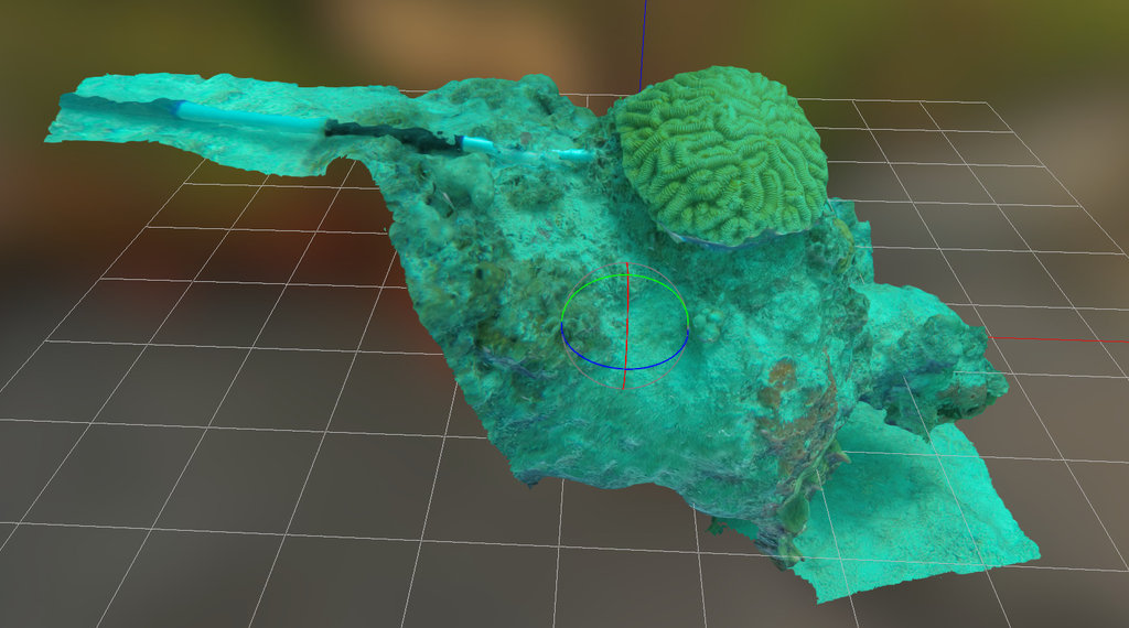 C7 Maze Coral GUAP - May 2015