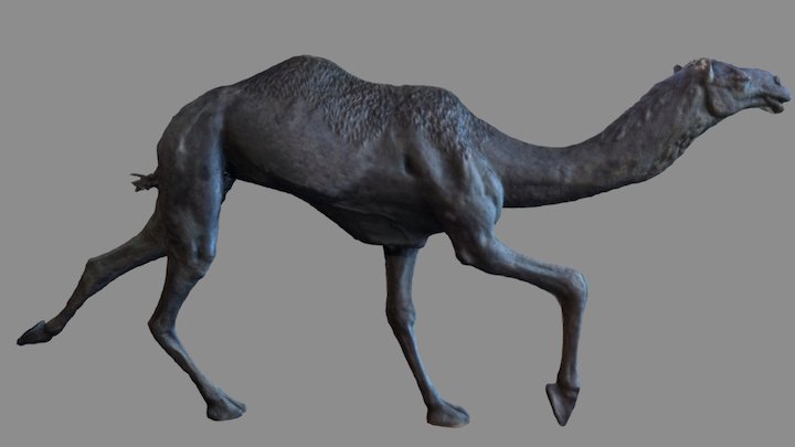 Camello3d 3D Model