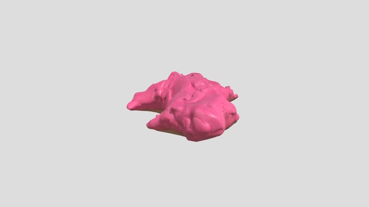 Fred the frog – Gratis 3D-model STL